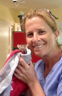 Hammey the Hamster with Dr.