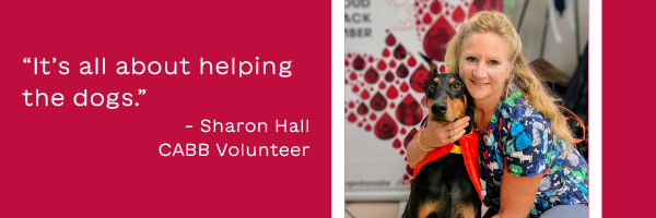 Canadian Animal Blood Bank Banner