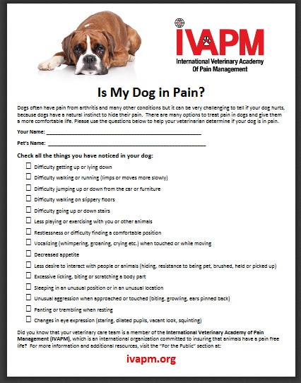 Dog Pain Checklist