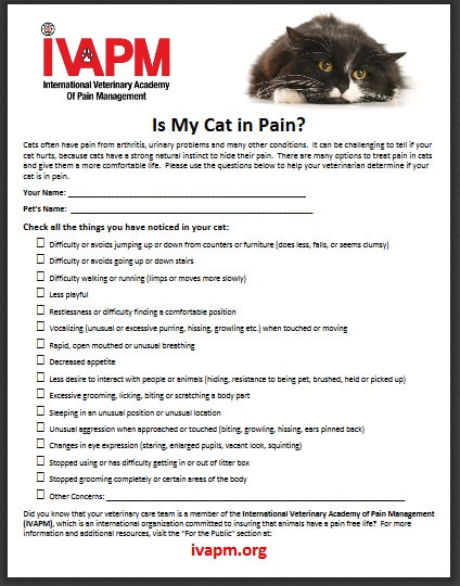 Cat Pain Checklist